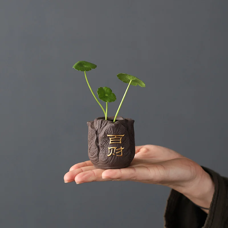 Creative Purple Clay Tea Pet F - Bonsai Garden Pot review and price