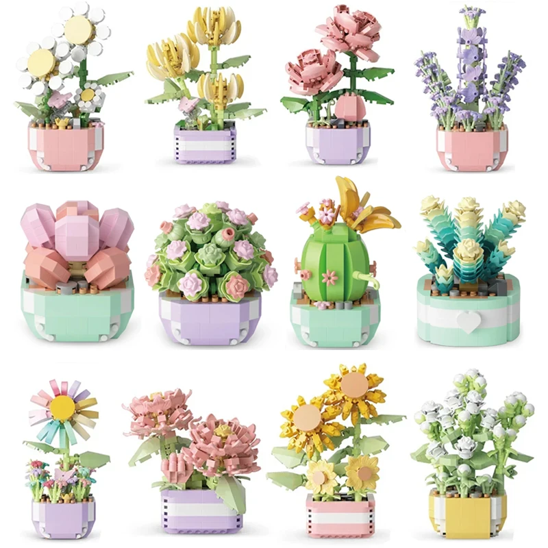 Flower Succulents Building Blo - Bonsai Garden Pot review and price