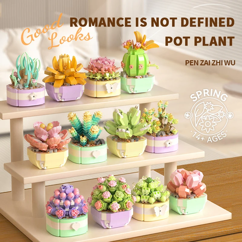Flower Succulents Building Blo - Bonsai Garden Pot review and price