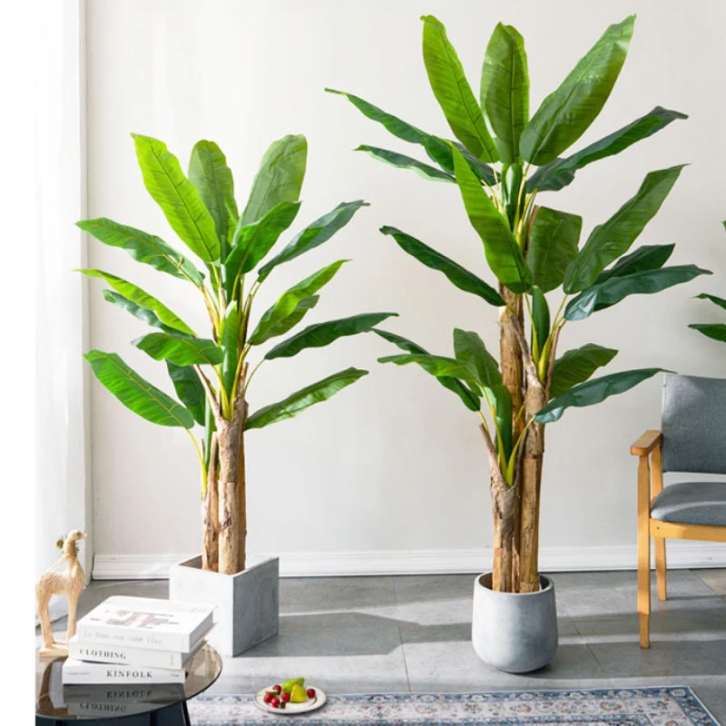 180cm/210cm Large Banana Tree  - Bonsai Garden Restaurant review and price