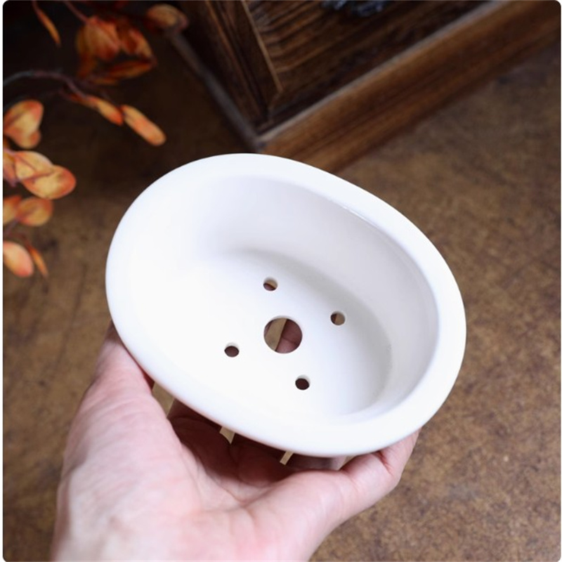 Porcelain White Oval Bonsai Po - Bonsai Garden For Desk review and price