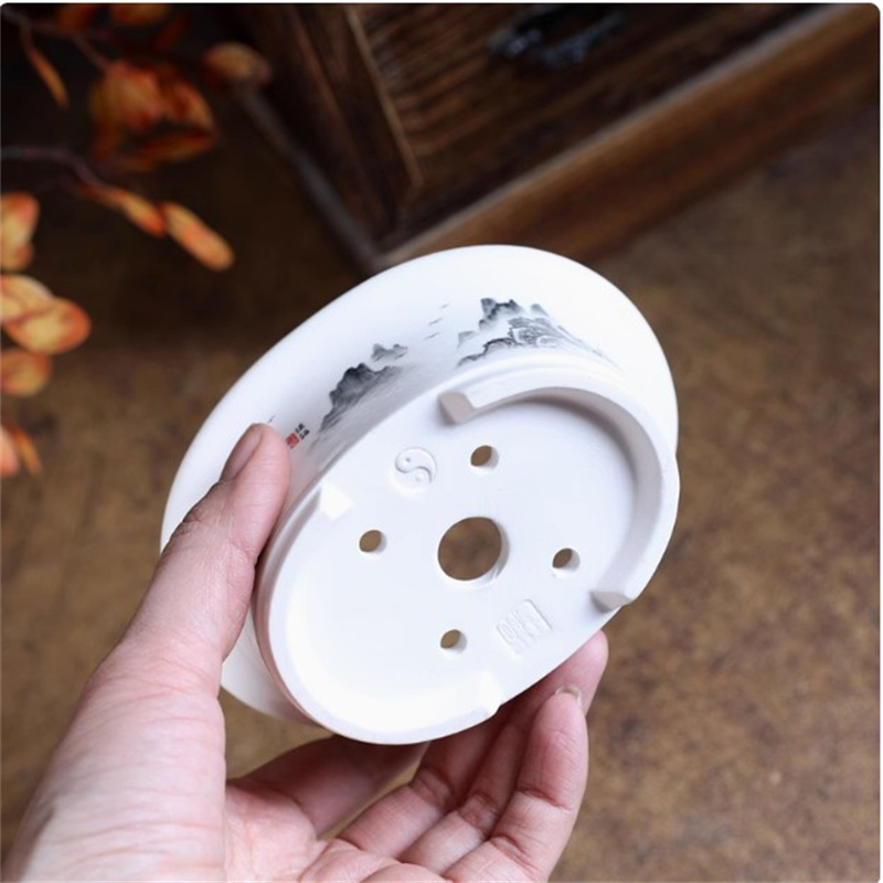 Porcelain White Oval Bonsai Po - Bonsai Garden For Desk review and price