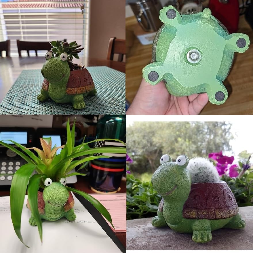 Cute Turtle Planter Succulent  - Bonsai Garden For Desk review and price