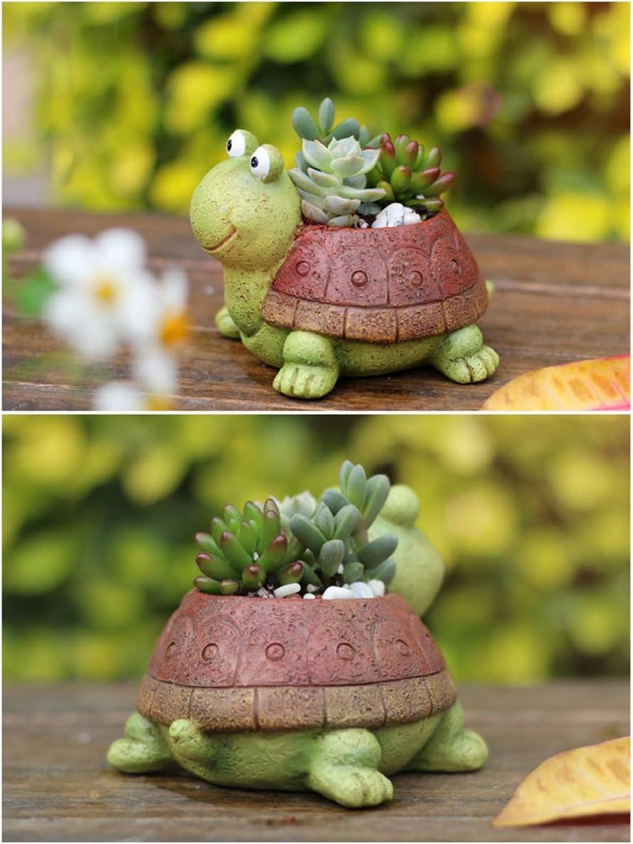 Cute Turtle Planter Succulent  - Bonsai Garden For Desk review and price
