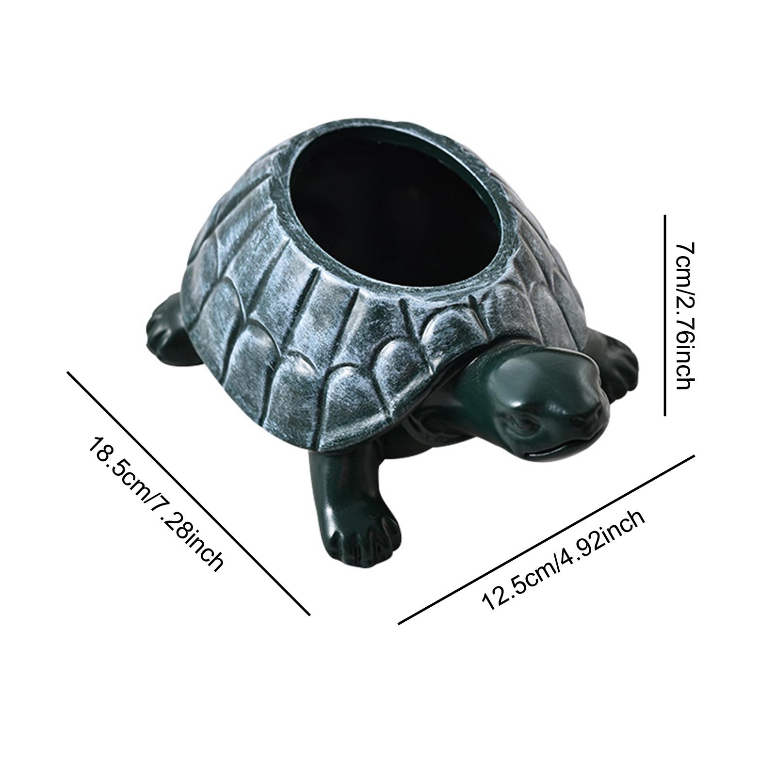 Turtle Planter Flower Pot Bons - Bonsai Garden Restaurant review and price