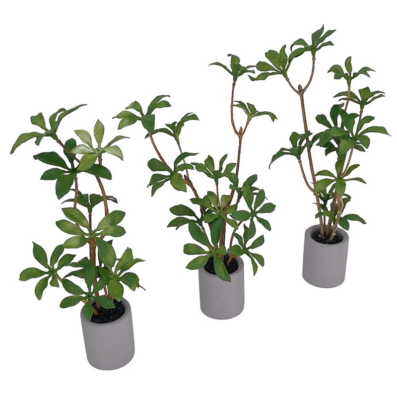1:6 Dollhouse Miniature Potted - Bonsai Garden Pot review and price