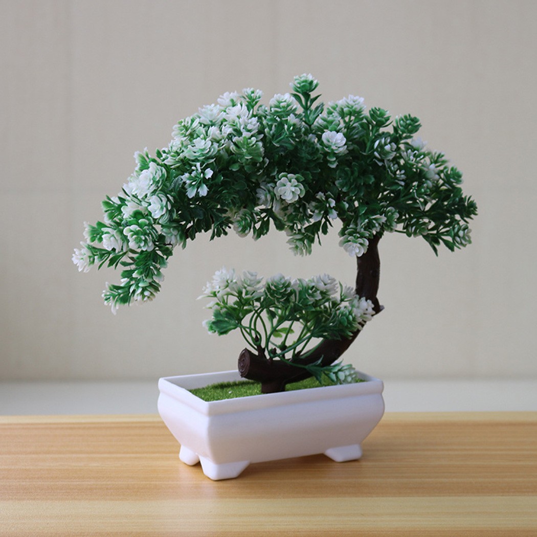 Plastic potted bonsai ornament - Bonsai Garden For Desk review and price