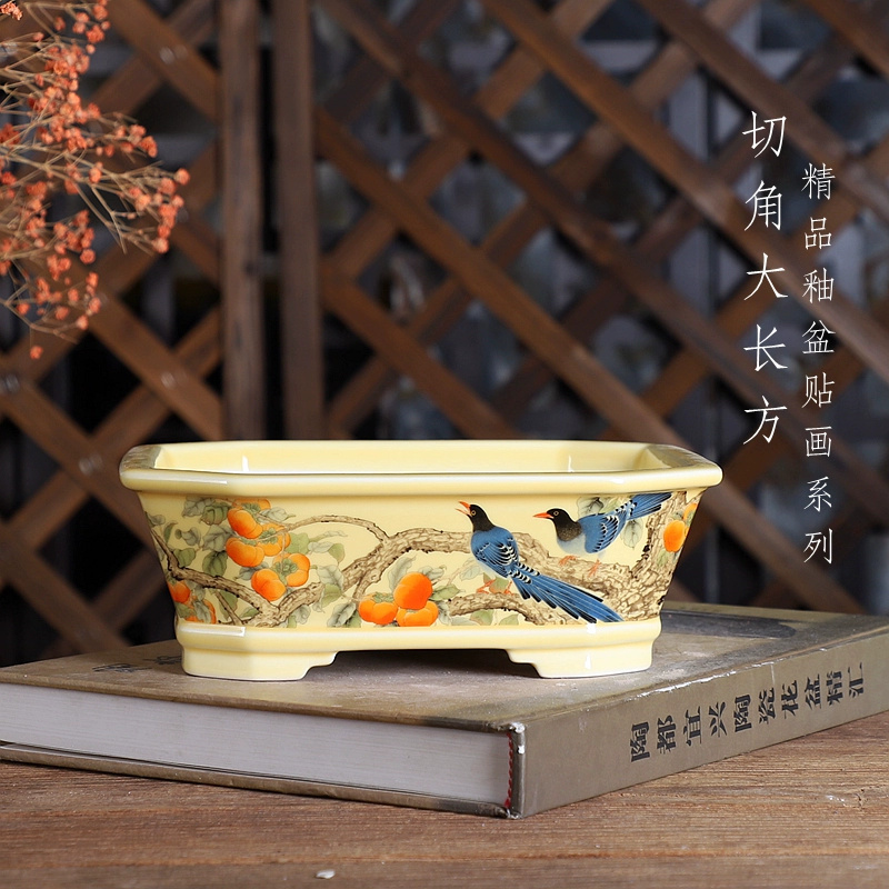 Porcelain Rectangle Bonsai Pot - Bonsai Garden For Desk review and price