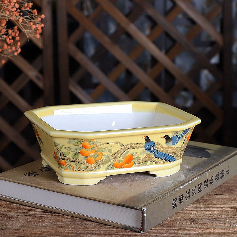 Porcelain Rectangle Bonsai Pot - Bonsai Garden For Desk review and price