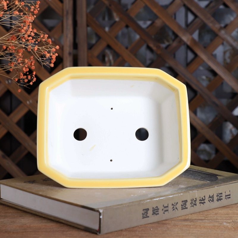 Porcelain Rectangle Bonsai Pot - Bonsai Garden For Desk review and price