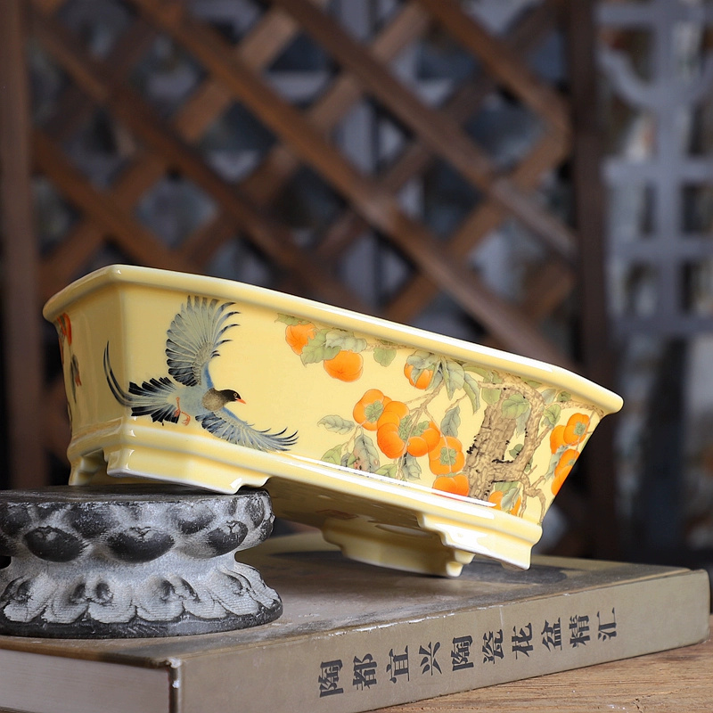Porcelain Rectangle Bonsai Pot - Bonsai Garden For Desk review and price