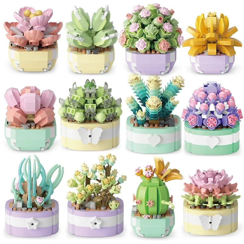 Flower Succulents Building Blo - Bonsai Garden Pot review and price