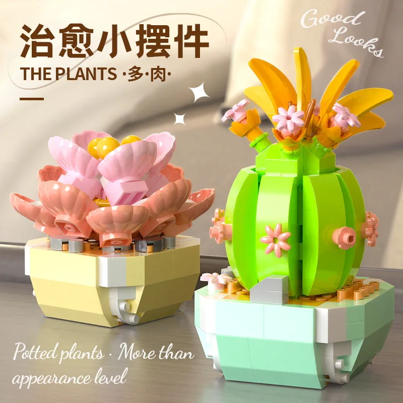 Flower Succulents Building Blo - Bonsai Garden Pot review and price