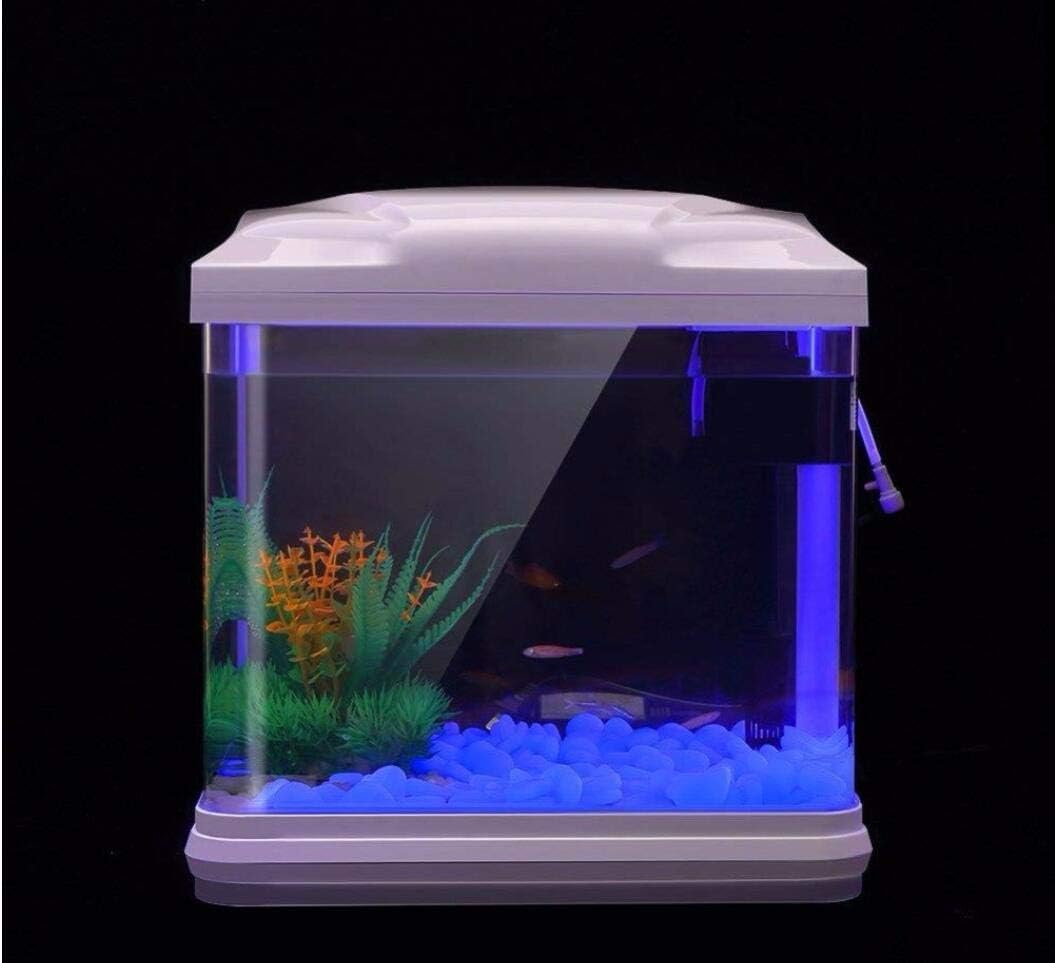 Fish Tank Rocks Glow Blue Pebb - Bonsai Garden Pot review and price