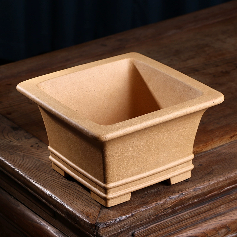 Pruple Sand Square Bonsai Pot, - Bonsai Garden For Desk review and price