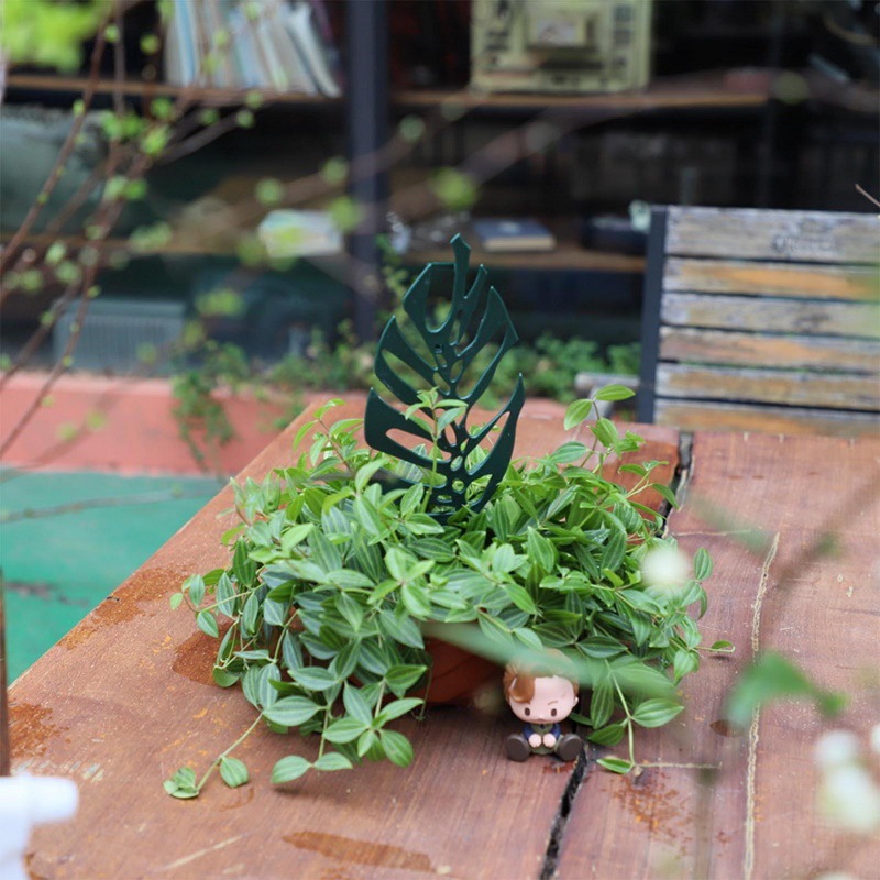 Plant Climbing Support Stand F - Bonsai Garden Pot review and price