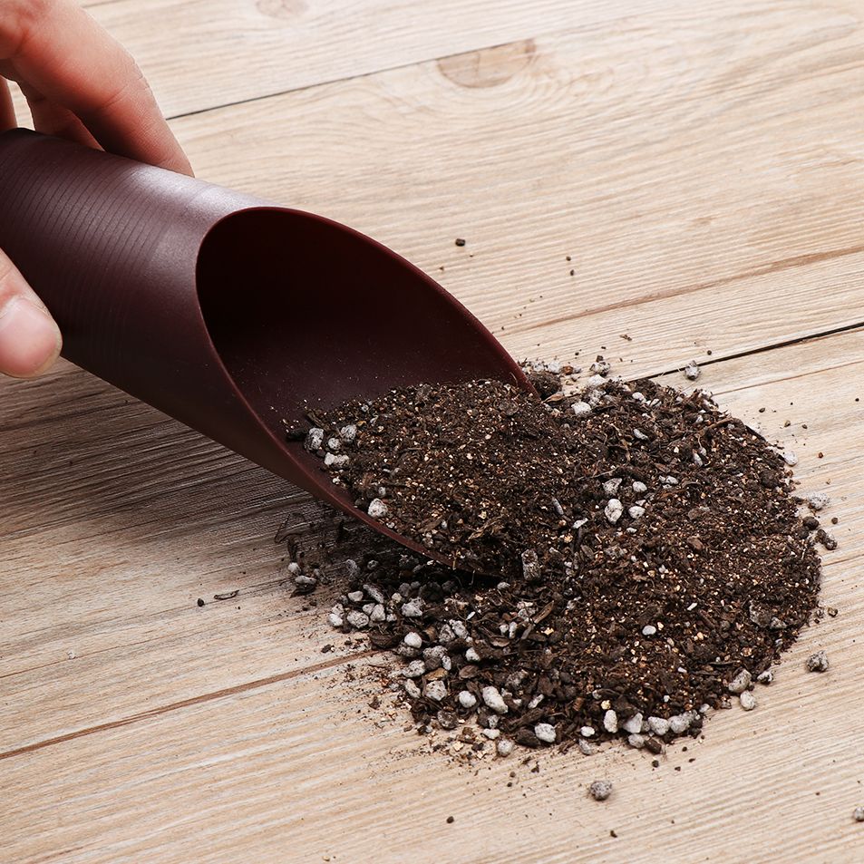 1PC Plastic Soil Shovel Cup Fo - Bonsai Garden Pot review and price